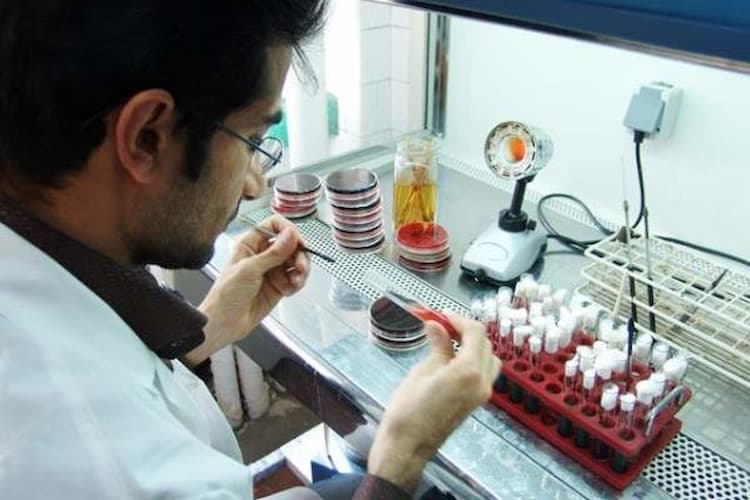لیست بهترین آزمایشگاه های ژنتیک تهران